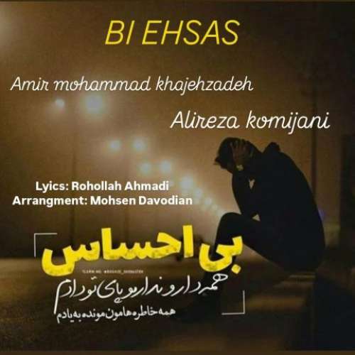 امیر محمد خواجه زاده و علیرضا کمیجانی بی احساس